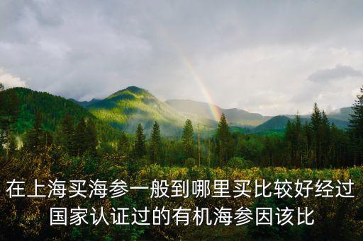 上海市哪海參好，在上海買海參一般到哪里買比較好經過國家認證過的有機海參因該比