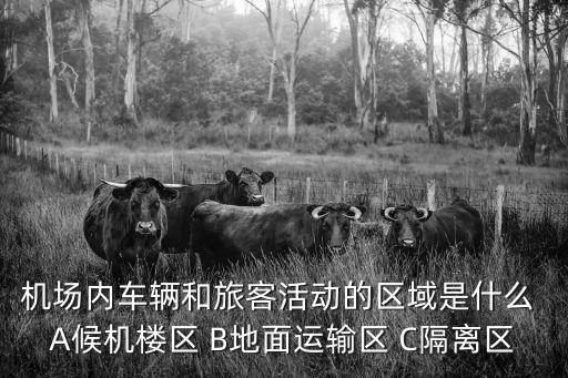 廣州機場候機樓隔離區(qū)，機場內(nèi)車輛和旅客活動的區(qū)域是什么 A候機樓區(qū) B地面運輸區(qū) C隔離區(qū)