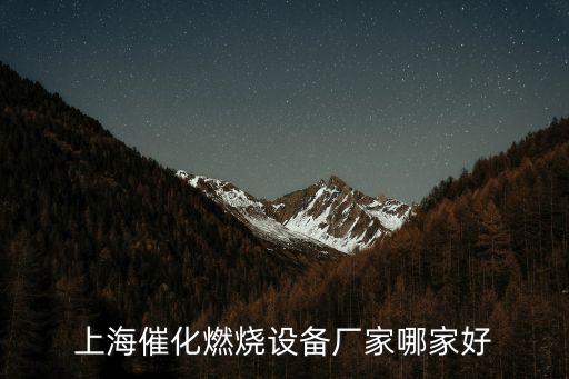 上海催化燃燒設(shè)備廠家哪家好