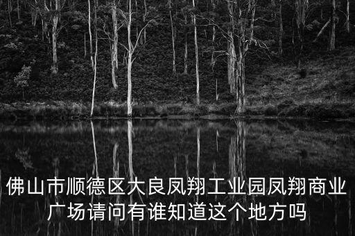 佛山市順德區大良鳳翔工業園鳳翔商業廣場請問有誰知道這個地方嗎