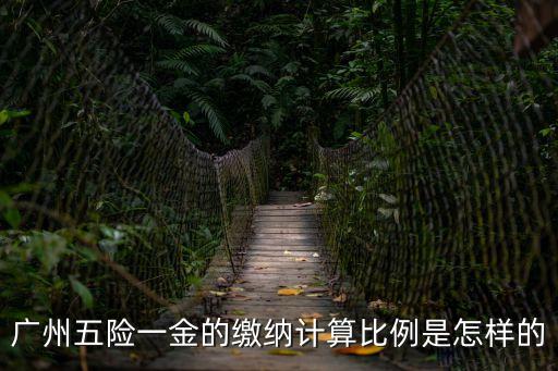 廣州社保個人比例，請問廣州社保一般一個月交多少錢個人和公司的比例是多少