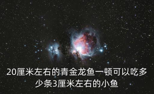 青金龍魚，請問有一種金龍魚鱗片有青色的請問是什麼金龍魚