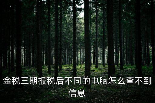廣州金稅盤圖標，金稅三期報稅后不同的電腦怎么查不到信息