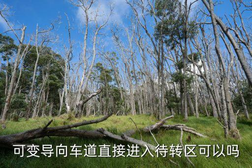 上海市可變車道能直行嗎，可變車道進去是直行燈但一下變左轉燈能直行嗎