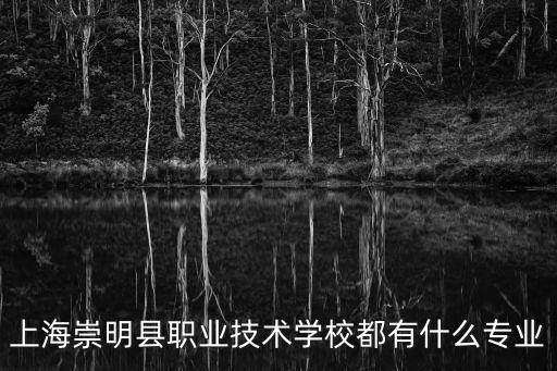 上海崇明縣職業技術學校都有什么專業