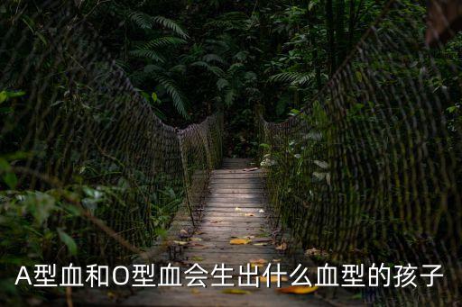 A型血和O型血會生出什么血型的孩子