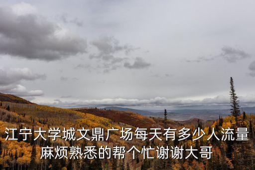 廣州江寧文鼎廣場，江寧大學城文鼎廣場每天有多少人流量麻煩熟悉的幫個忙謝謝大哥
