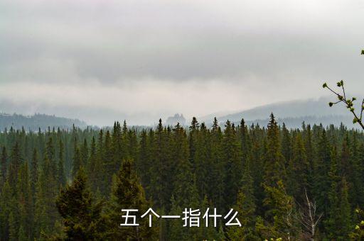 五個一指什么