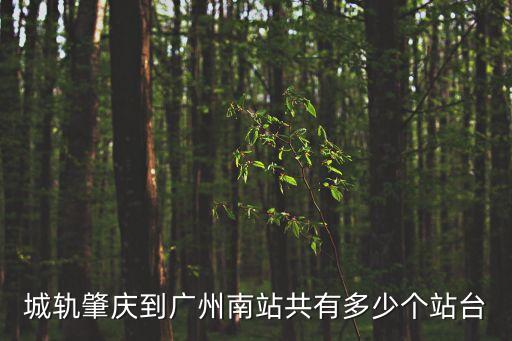 肇慶有高鐵到廣州南站，城軌肇慶到廣州南站共有多少個站臺