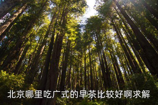 北京哪里吃廣式的早茶比較好啊求解