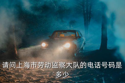 上海市華新鎮勞動監察大隊電話，上海勞動監察大隊的電話