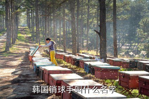 金景娥，08奧運(yùn)上 金景娥pk李佳薇 時(shí)用的是什么牌哪個(gè)型號(hào)的球拍