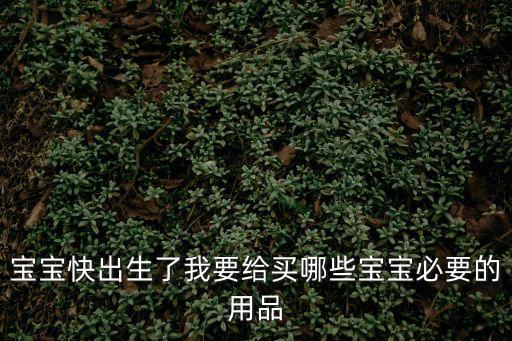 寶寶快出生了我要給買哪些寶寶必要的用品