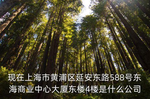現在上海市黃浦區延安東路588號東海商業中心大廈東樓4樓是什么公司
