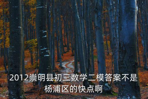 2012崇明縣初三數(shù)學(xué)二模答案不是楊浦區(qū)的快點啊