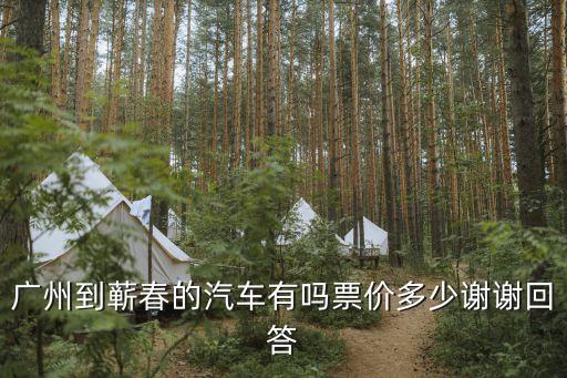 廣州到蘄春的汽車有嗎票價(jià)多少謝謝回答