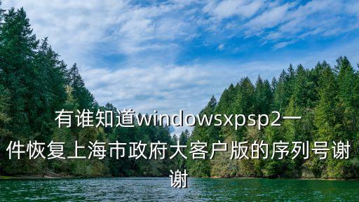 有誰知道windowsxpsp2一件恢復上海市政府大客戶版的序列號謝謝