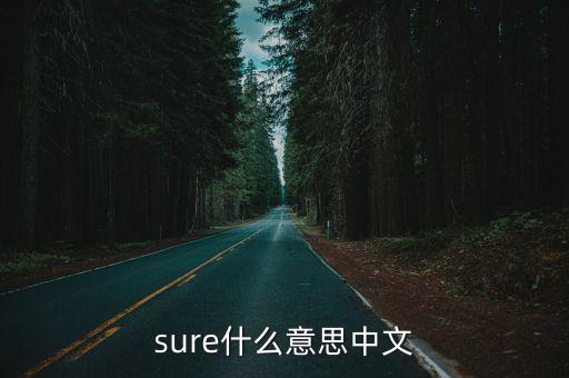 sure什么意思中文