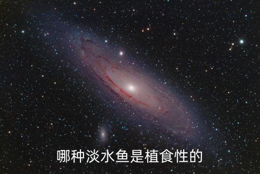 哪種淡水魚是植食性的