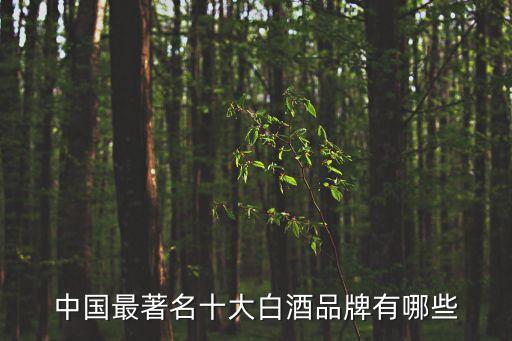 中國十大名牌白酒，中國十大名酒是那些