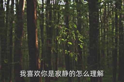 我喜歡你是寂靜的怎么理解