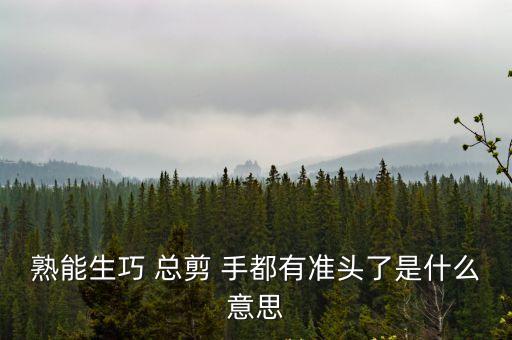 熟能生巧的意思，熟能生巧 總剪 手都有準頭了是什么意思