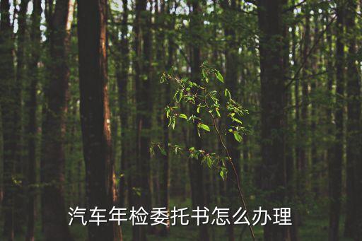 上海市車輛委托書怎么開，驗車委托書怎么開