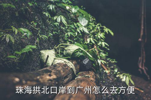 拱口北岸到廣州火車站，珠海拱北口岸到廣州怎么去方便