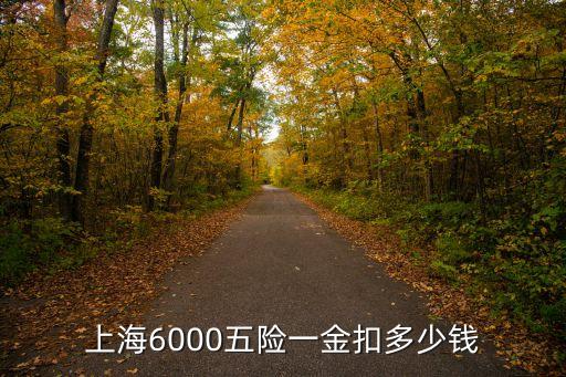 上海6000五險一金扣多少錢