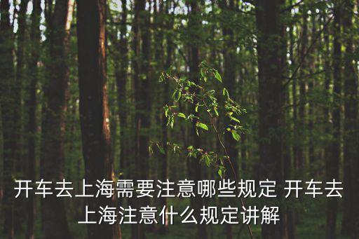 上海市單行道多不多，上海有哪些單行道