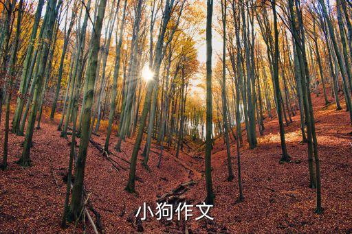 小狗作文，關(guān)于小狗的作文134字
