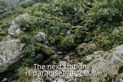 The next station is paradise的中文意思