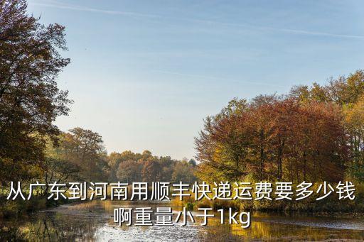 從廣東到河南用順豐快遞運費要多少錢啊重量小于1kg