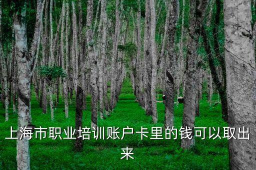 上海市職業培訓賬戶卡里的錢可以取出來