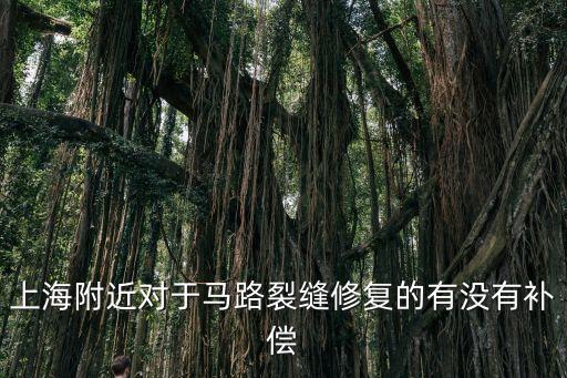 上海市城市道路掘路修復，上海附近對于馬路裂縫修復的有沒有補償