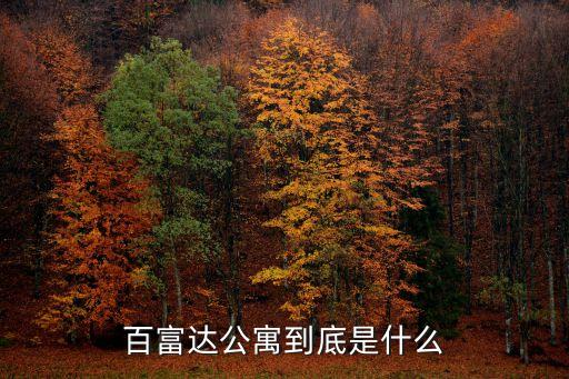 上海市濰坊路403號，百富達公寓到底是什么