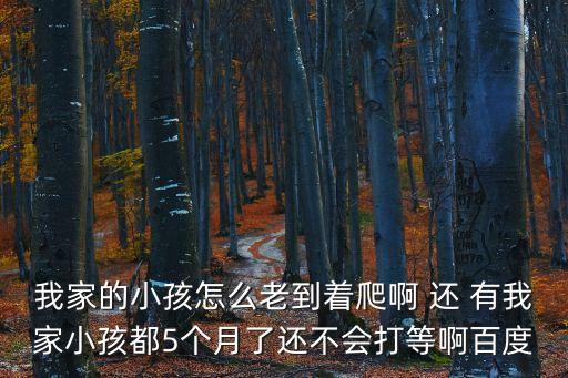 2017廣州 寶寶爬行，廣州最近哪里有寶寶爬行賽啊