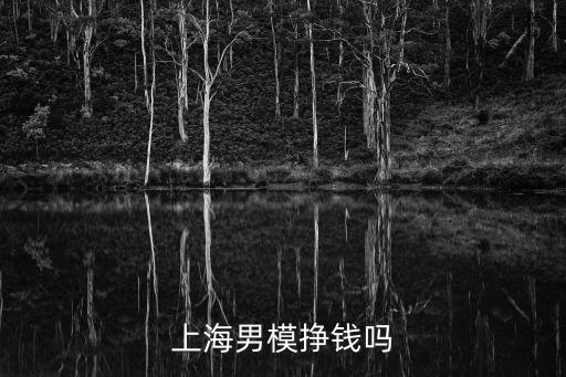 上海男模掙錢嗎
