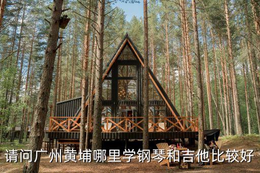 請問廣州黃埔哪里學鋼琴和吉他比較好