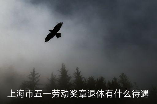 上海市五一勞動獎章退休有什么待遇