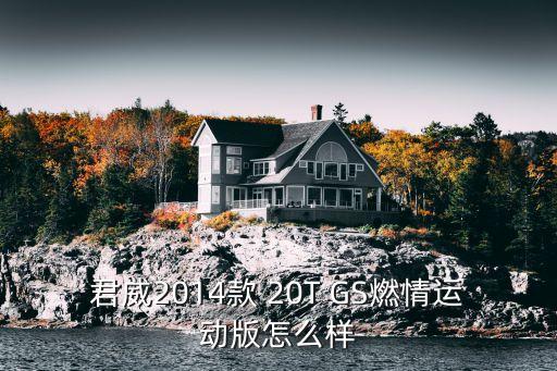 君威2014款 20T GS燃情運動版怎么樣