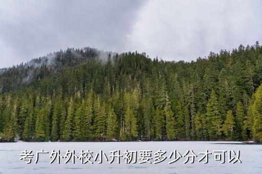 廣州外國語小升初分數，廣州外國語學校小升初的分數線是多少