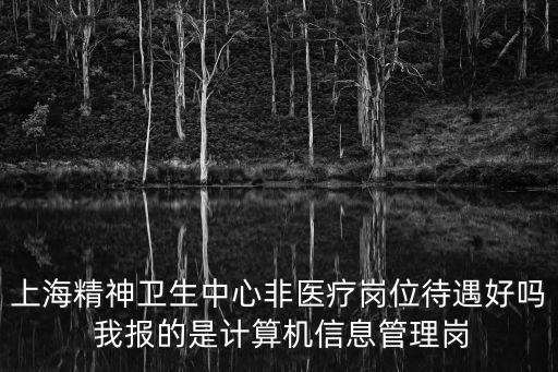 上海精神衛(wèi)生中心非醫(yī)療崗位待遇好嗎 我報(bào)的是計(jì)算機(jī)信息管理崗