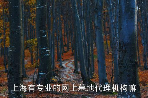 上海市周邊值得買的墓地服務平臺，上海墓地如何購買應該去哪里聯系購買啊另外哪家墓地口碑比較