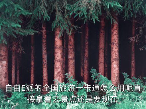 自由E派的全國旅游一卡通怎么用呢直接拿著去景點還是要現在