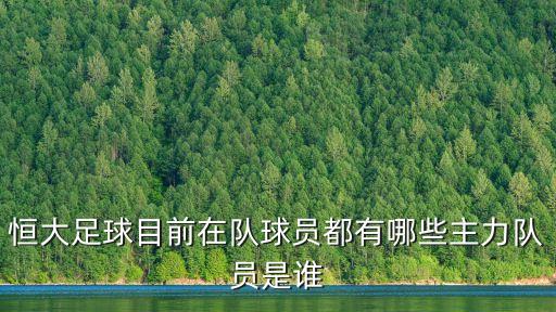 恒大足球目前在隊球員都有哪些主力隊員是誰