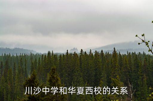 上海市川沙中學華夏西校簡介，川沙中學和華夏西校的關系