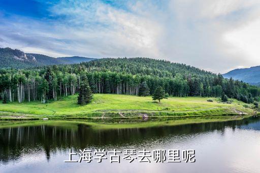 上海市田園古琴研制工坊，王棟老師做 的古琴怎么樣