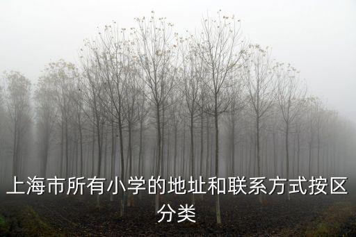 上海市南泉路小學，上海市的所有小學名單和地址 郵編