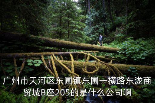 廣州天河區東圃鎮公司，廣州市天河區東圃鎮東圃一橫路東瀧商貿城B座205的是什么公司啊